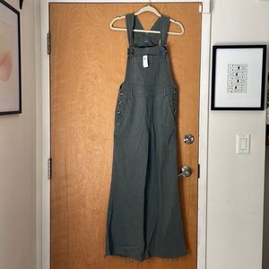 NWT Aerie work and play overalls